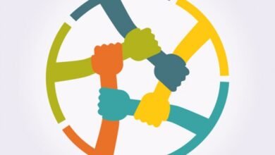 How to disavow Harmful backlinks in the most professional way 2024 0