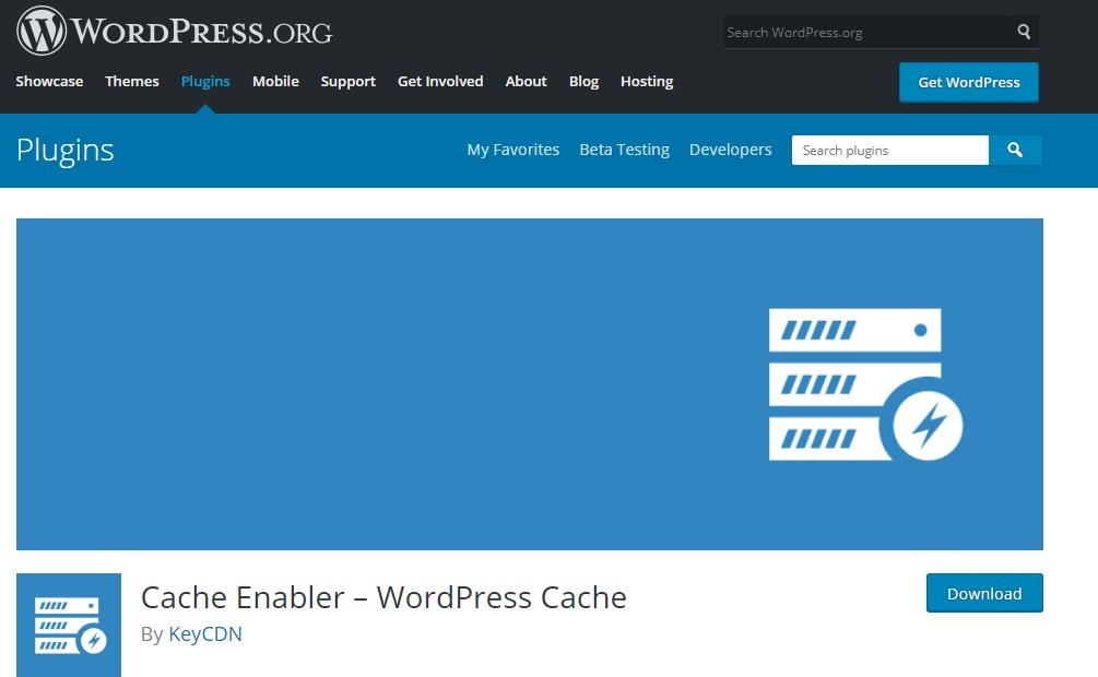 Top 7 WordPress Speed ​​Plugins and Ways to Improve Your Site Speed 2024