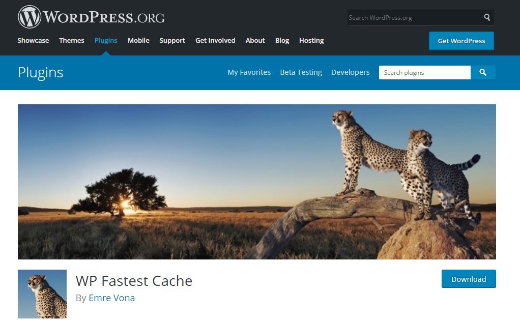 Top 7 WordPress Speed ​​Plugins and Ways to Improve Your Site Speed 2024