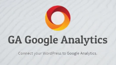 top 6 google analytics plugins for wordPress 2024
